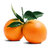 【罗花岭-产地直供】三峡伦晚脐橙(5斤)第4张高清大图