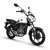 启典KIDEN摩托车 2017升级版KD150-G后碟刹款 单缸风冷150cc骑式车包邮(珍珠白升级版（后碟刹）后碟刹款 后碟刹)第2张高清大图