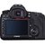 佳能（Canon）5D Mark III（MP-E 65mm f/2.8 1-5X微距）单反套机第4张高清大图