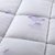 Bolly宝莱国际 全棉活性磨毛羽丝绒冬被 欧式奢华风格(花枝招展 220*240cm 6.5斤)第3张高清大图