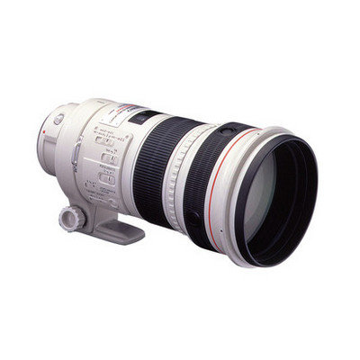 佳能（Canon） EF 300mm f/2.8L IS II USM 镜头(套餐三)