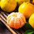 鲜果突击队云南橘子蜜橘9斤装新鲜水果蜜桔孕妇水果橙(蜜桔 9斤装大果（65-75mm）)第5张高清大图