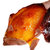 烟薯25号精选大果 红薯地瓜5斤 包邮产地直发 甜的流油的蜜薯（新疆西藏青海宁夏甘肃内蒙古不发货）第4张高清大图