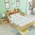 秀磊 实木儿童床1.2米男孩女孩单人床1.5米青少年床实木床带书架储物床(水性清漆（有抽屉） 床头柜一个)第3张高清大图