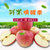 山东烟台富士苹果(精品五斤装（8个）)第2张高清大图