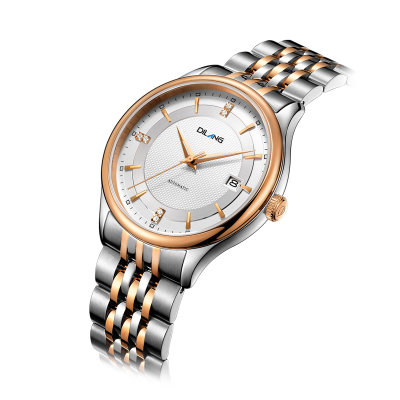 帝浪(DILANG)男士手表进口自动机械机芯钢带皮带经典休闲时尚绅士腕表K9(白色)