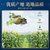 北京同仁堂 茯苓玉米须茶120G第2张高清大图