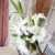 北京杭州居家鲜花 办公室鲜花 按月送花 玫瑰鲜花速递同城送包月鲜花(深灰色)第3张高清大图