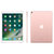 Apple iPad Pro 平板电脑 10.5 英寸(玫瑰金 WiFi+4G版本)第2张高清大图