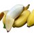 新鲜大蕉/芭蕉 新鲜水果产地直发广东农家特产非粉蕉banana*5(60斤)第2张高清大图
