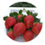 【产地直达】西昌牛奶草莓3/5斤装(3斤装)第5张高清大图