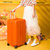 行李箱32寸超大容量密码拉链拉杆旅行箱大号（5件/套）(糖果黄色加厚ABS+PC款 24寸)第2张高清大图