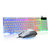 【赠品】 定制炫光机械手感竞技键盘鼠标套装（颜色，样式随机）第2张高清大图