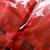 亲衣倾诚 2017新品夏装韩版红色碎花连衣裙 女装圆领无袖印花裙 中长裙 M8108(红色 XL)第5张高清大图