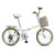 永久折叠自行车7级变速20寸快装男女士单车2013 雅途  橙色粉红绿色预售19号前发货(苹果绿(碳钢车架) 20寸)第2张高清大图
