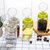 茶花油壶玻璃防漏油大号塑料盖装酱油瓶醋瓶油瓶530ML(绿茶色_大号530ml_)第2张高清大图
