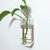壁挂水培植物花瓶透明小清新现代简约客厅卧室挂墙上装饰玻璃花盆(组合二（8个方管玻璃瓶） 透明)第2张高清大图
