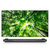 LG电视 OLED77W8XCA 77英寸 4K超高清 智能壁纸电视 人工智能画质引擎 影院HDR 杜比全景声第2张高清大图