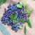 森骄 蔓越蓝莓果干 蓝莓果干 250g/袋第2张高清大图