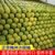 正宗梅州沙田柚白肉柚子当季孕妇水果(10斤)第3张高清大图
