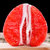 福建平和红心柚子10斤新鲜当季红肉琯溪蜜柚孕妇水果整箱时令包邮(5斤 大果)第5张高清大图