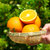 麻阳冰糖橙超甜新鲜水果3/5/10斤包邮(10斤中果)第5张高清大图