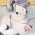 牛奶朋友宝宝背带裤冬款可开裆毛绒裤婴儿裤加厚背带可交叉扣(L（80/48） 米色)第3张高清大图