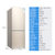 海尔冰箱小型家用165升两门双门节能省电静音迷你冰箱租房专用 BCD-165LTMPJ第2张高清大图