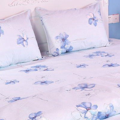 件套 进口防螨虫床品 预防尘螨粉螨虫过敏原 健