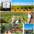 吉卡斯（jecups）巴洛特莫斯卡托 澳大利亚原瓶进口甜白葡萄酒 750ml(红色 单只装)第4张高清大图