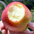 陕西早熟红富士苹果 4.5斤(4.5斤)第4张高清大图