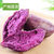 云南沙地紫薯3/5/9斤新鲜当季番薯农家板栗小地瓜(3斤体验装)第5张高清大图