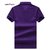 凯德申 男士多彩休闲POLO衫 短袖T恤 2016新风尚PZC6027(紫色 170/M)第3张高清大图