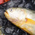 大黄花鱼新鲜冷冻大黄鱼黄瓜鱼3条装每条8两以上 海鲜水产 1.25停发第2张高清大图
