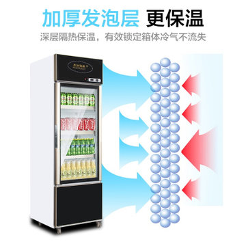 五洲伯乐LCD-380下冷冻上冷藏展示保鲜立式柜啤酒冰柜