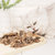 冻干鹌鹑猫咪宠物猫粮肉干狗鹌鹑鸡肉冻干猫粮肉猫零食猫增肥发腮(红色)(6个月以上)第3张高清大图