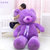 紫熊 毛绒玩具泰迪熊 薰衣草小熊公仔布娃娃(丝带款 40厘米)第3张高清大图
