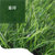 亿景鸿基 人造草坪 室外绿化景观装饰幼儿园高尔夫草坪加密仿真草坪四色假草坪 YCP01(翠绿 2米*25米)第5张高清大图