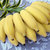 册亨精品香蕉 糯米蕉 蕉中贡品 现砍现发不打药 不催熟 自然生长 香糯可口(3斤装)第2张高清大图