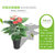 淘景 仿真花植物盆栽塑料绿植客厅花落地花家居装饰树70cm24头单枝红掌(商品1)第3张高清大图