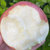 陕西早熟红富士苹果 4.5斤(4.5斤)第5张高清大图