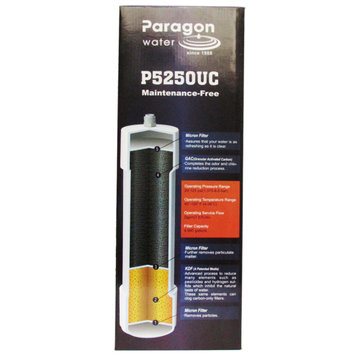 百诺肯(Paragon) P5250UC厨房净水器 家用自来水除菌除氯 直饮矿物质 大流量净水机