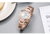 Citizen西铁城 光动能不锈钢表带XC系列时尚腕女表 EW2422-55AB第5张高清大图