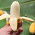 新鲜大蕉/芭蕉 新鲜水果产地直发广东农家特产非粉蕉banana*5(60斤)第3张高清大图