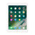 苹果（Apple）iPad 9.7英寸平板电脑 32G(金色 WLAN版)第3张高清大图