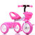 beruty儿童三轮车 2-3岁以上小孩子自行车 男女宝宝脚踏儿童车(A配蓝色塑料筐)第4张高清大图