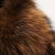 THYY欧洲站2017秋冬新款 欧美时尚连帽貉子毛领白鸭绒羽绒服中长款外套第5张高清大图