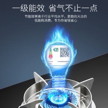 Citin/村田 CTB7623液化气天然气煤气灶燃气灶台嵌两用式双眼灶(黑色)