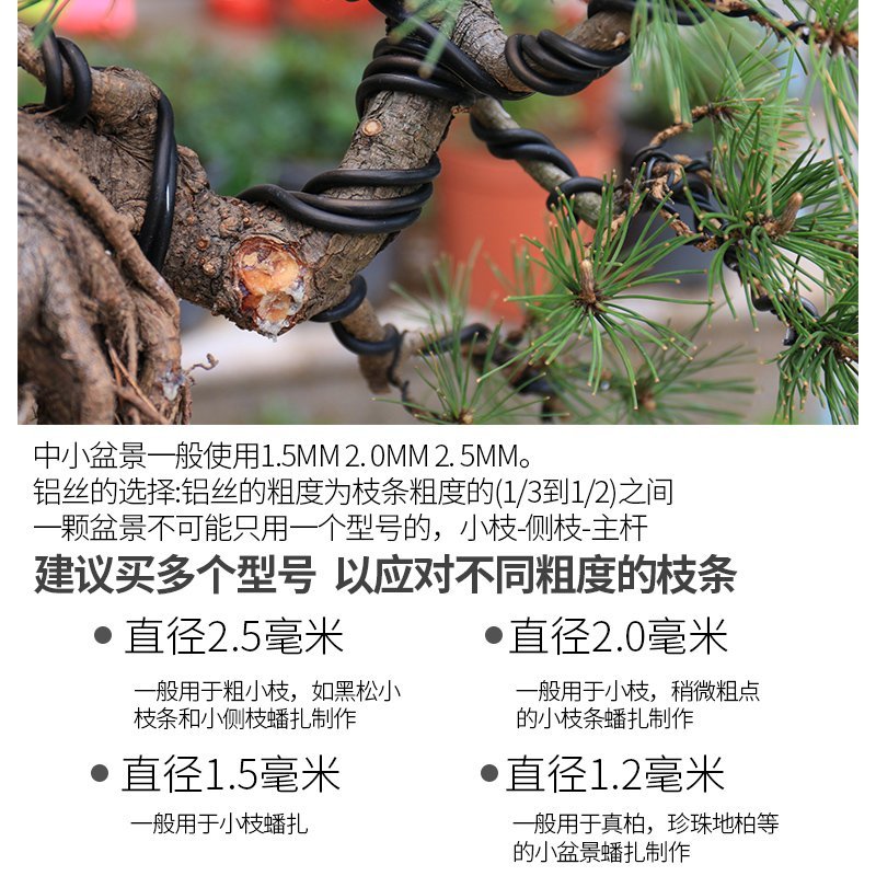 软铝丝线盆景铝线造型制作专用黑吕铁丝园艺盆景铝丝新手家用套装5盘