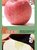 洛川红富士苹果 精品礼盒(11斤 精品礼盒1)第4张高清大图